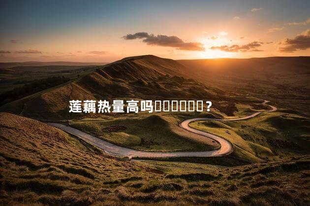 莲藕热量高吗？